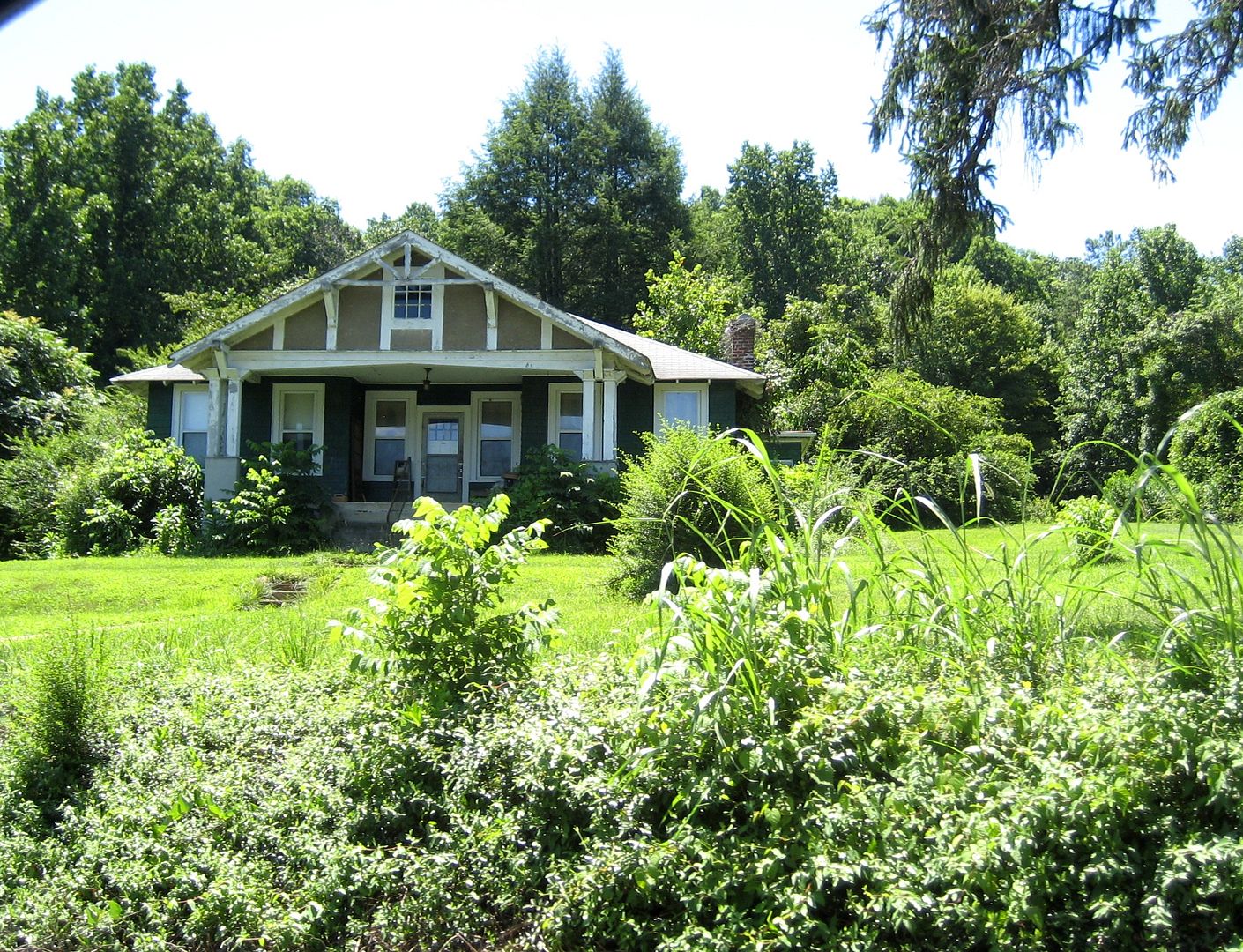 Spotted in the Wilderness A Perfect Elsmore Sears Modern Homes